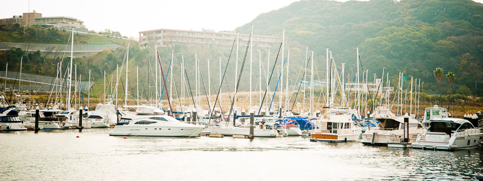 朝もやの浦賀湾に並ぶヨットとボート