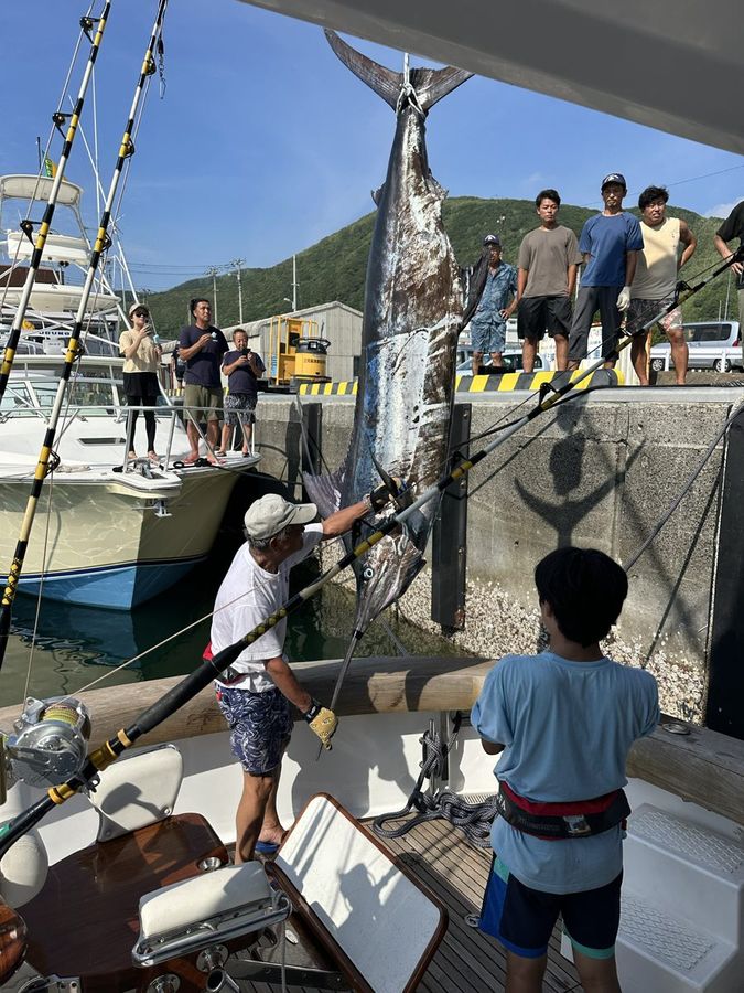 ing が釣り上げた実測178kgのクロカジキ